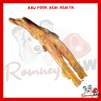 Nova Dog Chews - Beef Achilles Tendon - Single