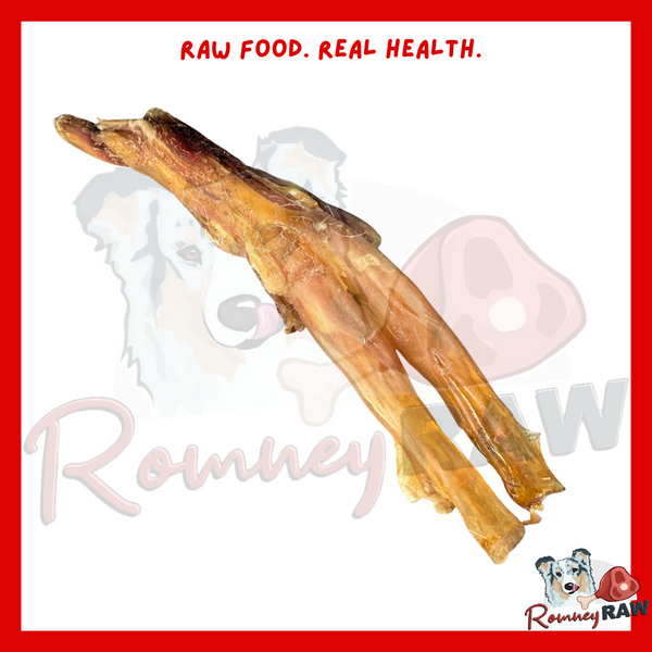 Nova Dog Chews - Beef Achilles Tendon - Single