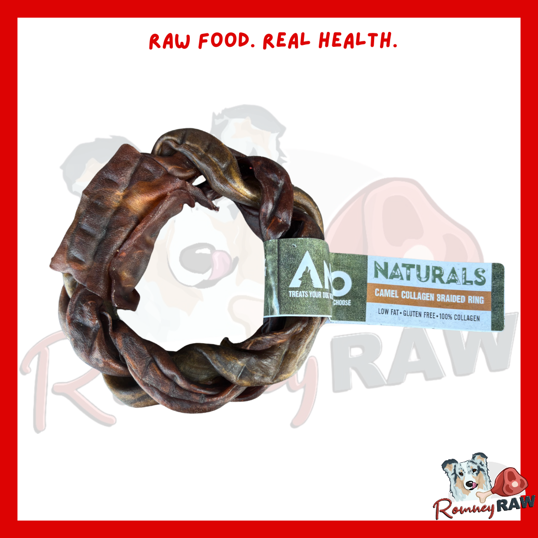 Camel Lead Rings Anco Naturals - Camel Collagen Braided Ring – Romney Raw