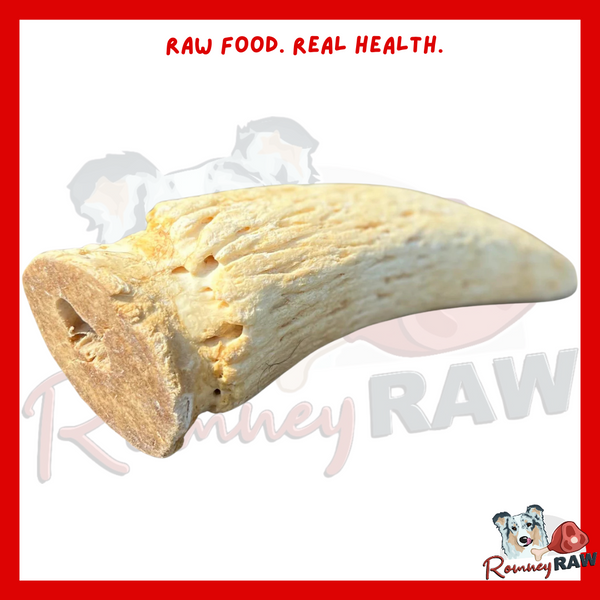 Anco Naturals - Cow Horn Marrow - Single