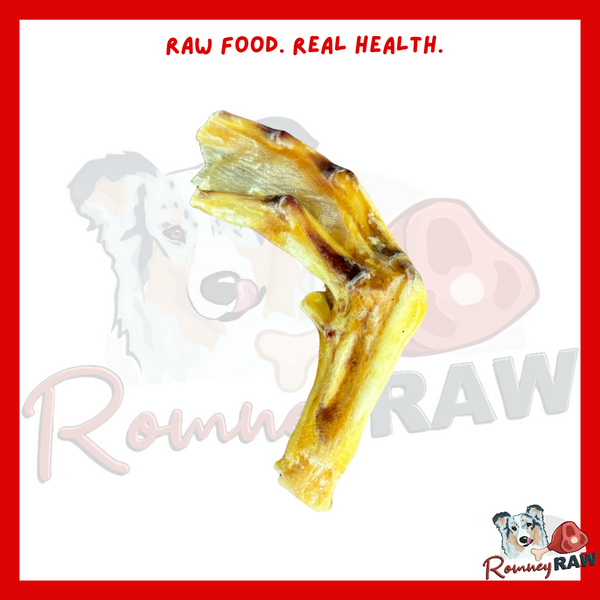 Anco Naturals - Duck Feet - Single