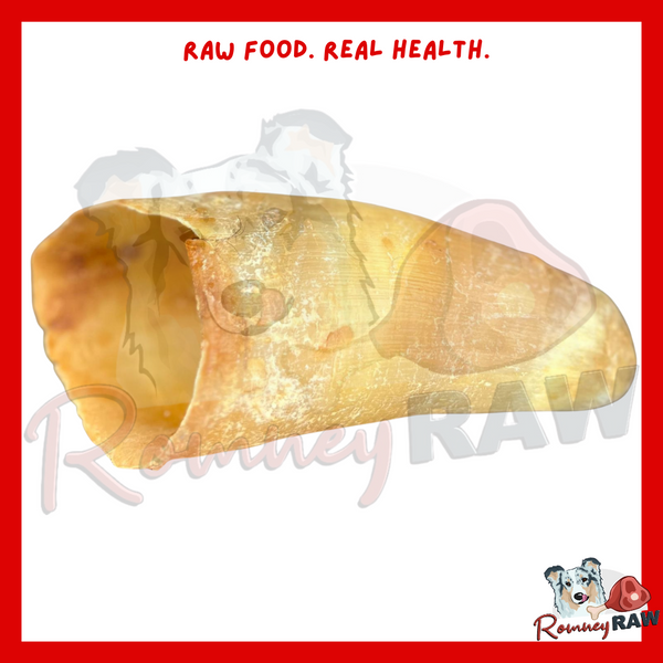 Anco Naturals - Empty Cow Horn - Single