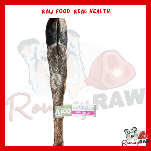 Anco Naturals - Hairy Deer Leg