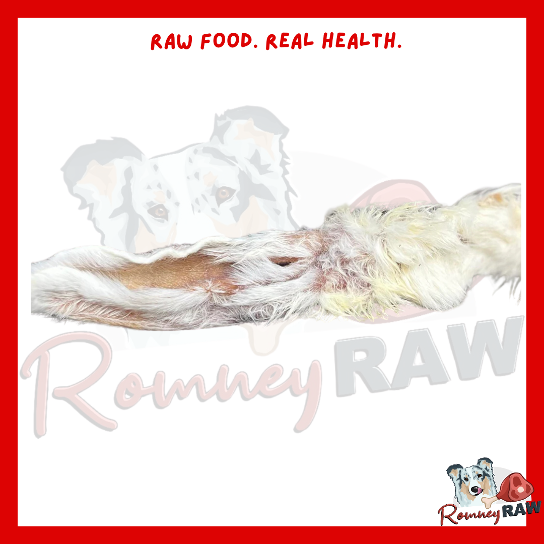 Anco Naturals - Hairy Rabbit Ear - Single – Romney Raw