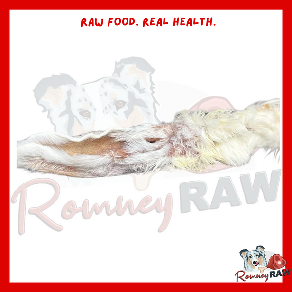 Anco Naturals - Hairy Rabbit Feet - Single – Romney Raw