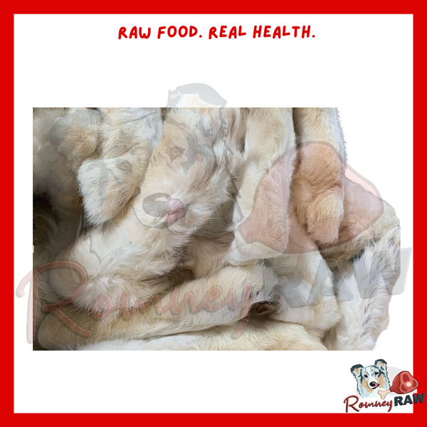 Anco Naturals - Hairy Rabbit Feet - Single
