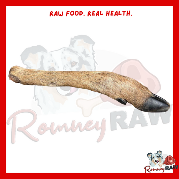 Anco Naturals - Hairy Roe Deer Leg