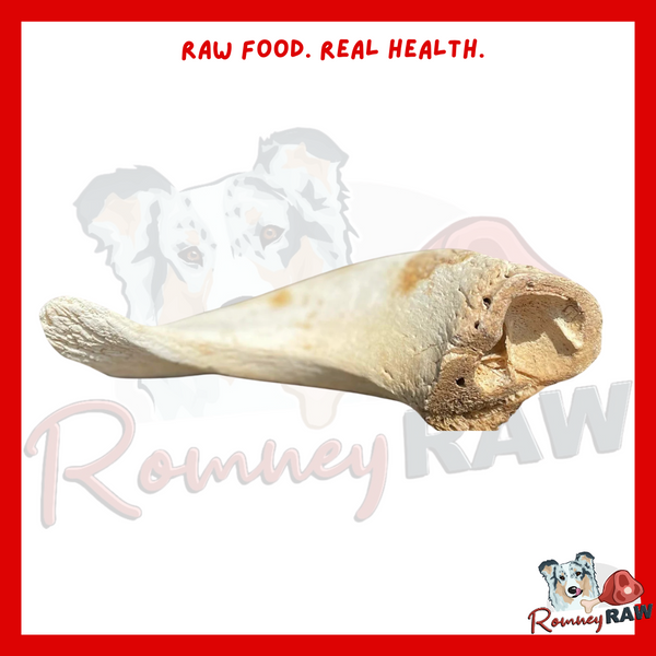 Anco Naturals - Lamb Horn Marrows