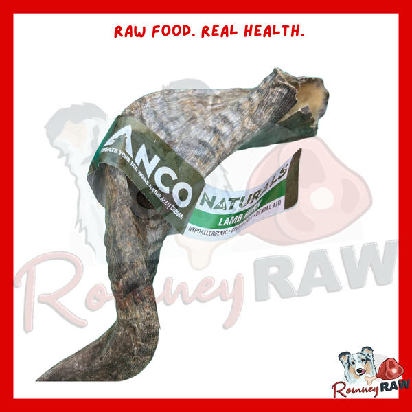 Anco Naturals - Lamb Horn