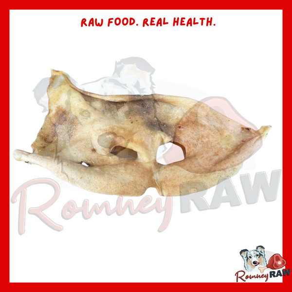 Nova Dog Chews - Lamb Snout - Single