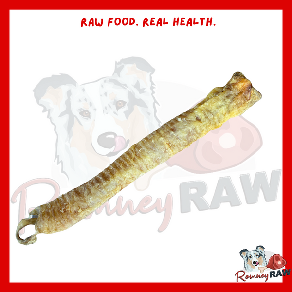 Anco Naturals - Lamb Tube