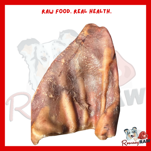 Anco Naturals - Pig Ears - Single