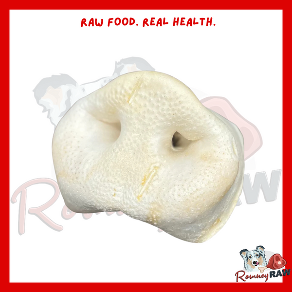 Nova Dog Chews - Puffed Pig Snout