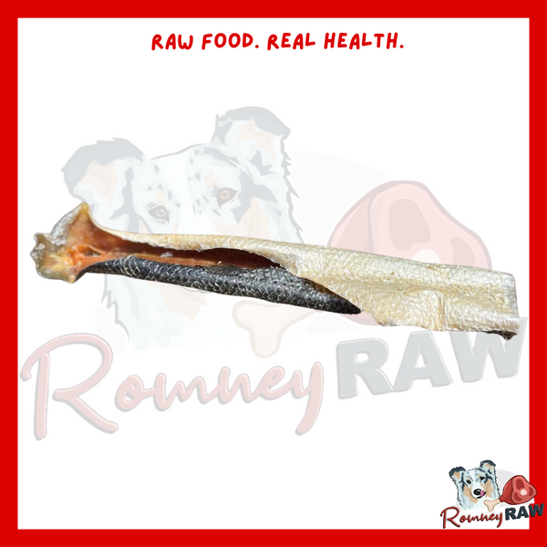 Anco Oceans - Salmon Skin Roll - Single