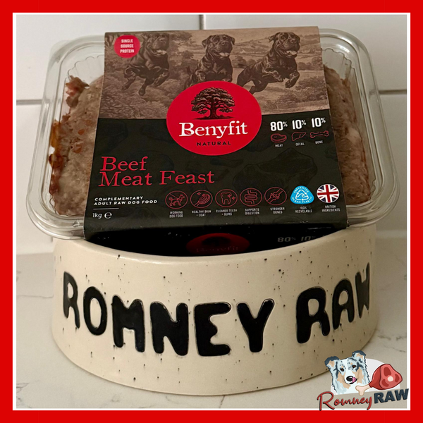 Benyfit Natural - Beef Meat Feast Complete 80/10/10 Dog Food - 1kg