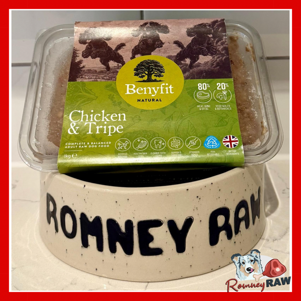 Benyfit Natural - Chicken & Tripe Complete Dog Food - 1kg