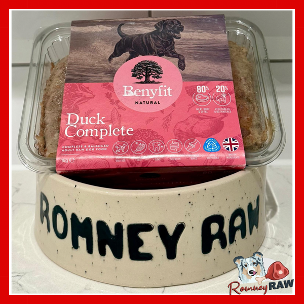 Benyfit Natural - Duck Complete Raw Dog Food - 1kg