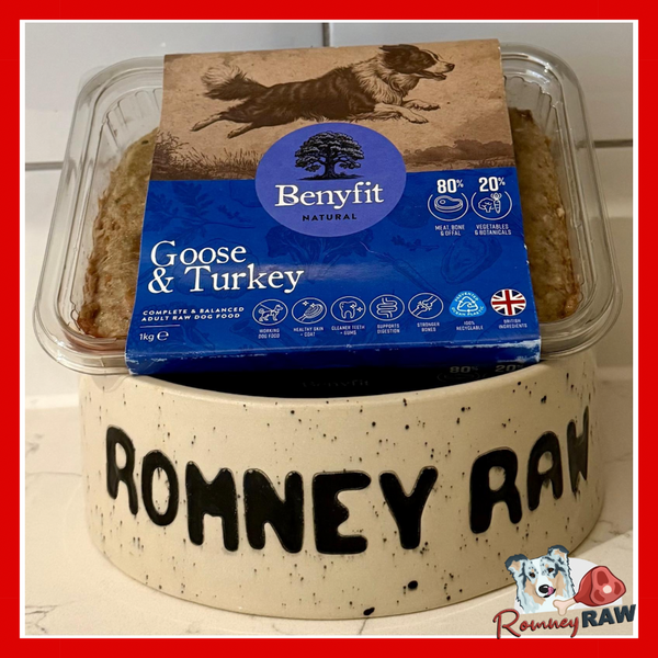 Benyfit Natural - Goose & Turkey Complete Dog Food - 1kg