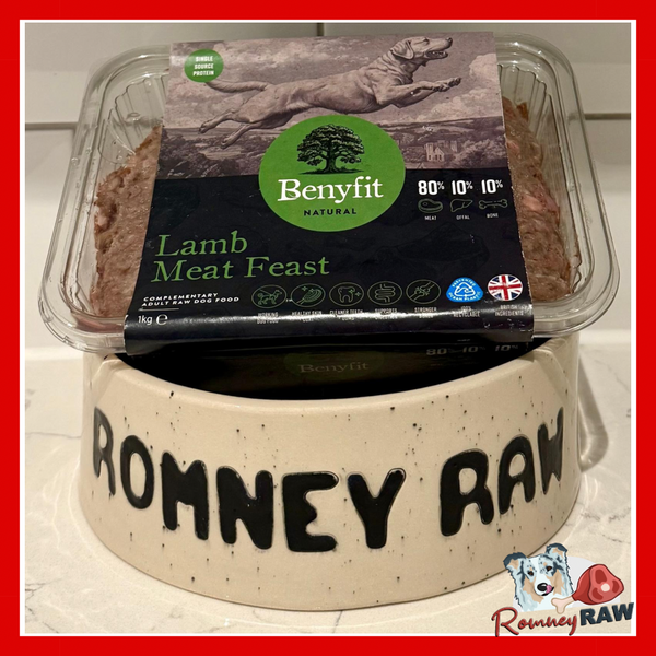 Benyfit Natural - Lamb Meat Feast Complete 80/10/10 Dog Food - 1kg