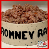 Benyfit Natural - Sensitive Complete Raw Dog Food - 1kg