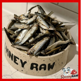 Benyfit Natural - Sprats - 1kg