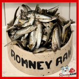 Benyfit Natural - Sprats - 1kg