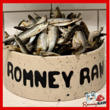 Benyfit Natural - Sprats - 1kg
