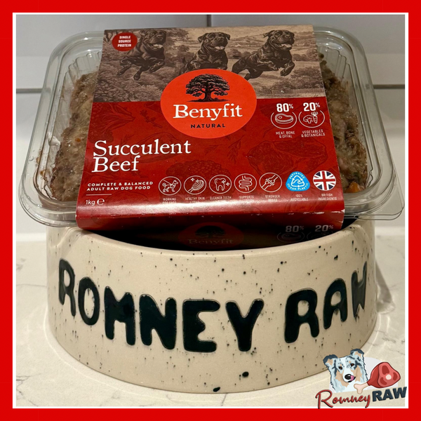 Benyfit Natural-  Succulent Beef Complete Dog Food - 1kg
