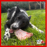 Benyfit Natural - Lamb Ribs - 1kg