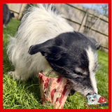 Benyfit Natural - Lamb Ribs - 1kg