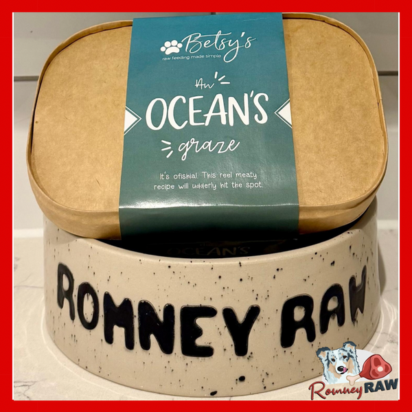 Betsys Raw Dog Food - An Oceans Graze - 1kg
