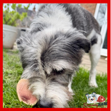 Birmingham Raw Pet Food - Beef Marrow Bones - 2 pack
