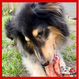 Birmingham Raw Pet Food - Beef Marrow Bones - 2 pack