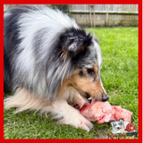 Birmingham Raw Pet Food - Beef Marrow Bones - 2 pack