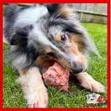 Birmingham Raw Pet Food - Beef Marrow Bones - 2 pack