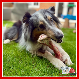 Birmingham Raw Pet Food - Lamb Marrow Bones