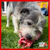 Birmingham Raw Pet Food - Lamb Necks (Duo)