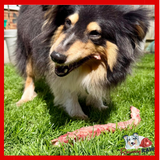 Birmingham Raw Pet Food - Lamb Necks (Duo)