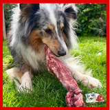 Birmingham Raw Pet Food - Lamb Necks (Duo)