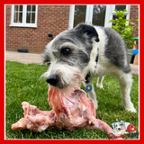 Bulmers Pet Foods - Tray of Chicken Carcasses