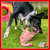 Bulmers Pet Foods - Tray of Chicken Carcasses