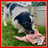 Bulmers Pet Foods - Tray of Chicken Carcasses