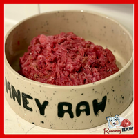 Durham Animal Feeds - Duck & Pumpkin Mince - 454g
