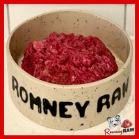 Durham Animal Feeds - Duck & Pumpkin Mince - 454g