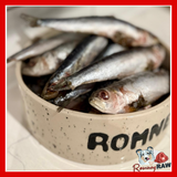 Durham Animal Feeds - Whole Sardines - 1kg