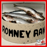 Durham Animal Feeds - Whole Sardines - 1kg