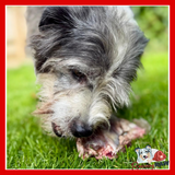 Durham Animal Feeds - Raw Venison Ribs - 1kg