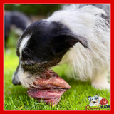 Durham Animal Feeds - Raw Venison Ribs - 1kg