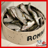 Dougie's - Whole Sprats - 1kg