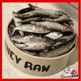 Dougie's - Whole Sprats - 1kg